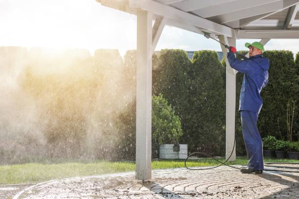 Best Driveway Pressure Washing  in Agler Estates, FL